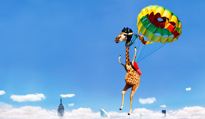 Giraffe skydiver going down on parachute over city