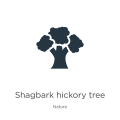 Shagbark hickory tree icon vector. Trendy flat shagbark hickory tree icon from nature collection isolated on white background. Vector illustration can be used for web and mobile graphic design, logo,