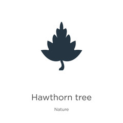Hawthorn tree icon vector. Trendy flat hawthorn tree icon from nature collection isolated on white background. Vector illustration can be used for web and mobile graphic design, logo, eps10
