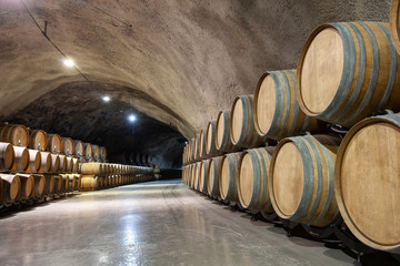 wine barrels in cellar