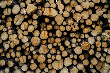 Pile of wood