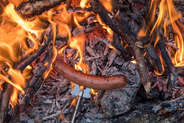 Sausage cooking over bon fire