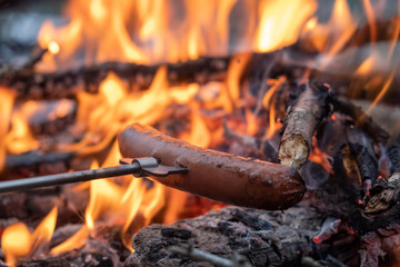 Sausage cooking over bon fire
