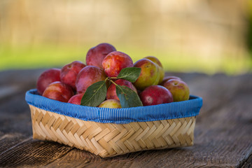 Sweet plums on wooden background
