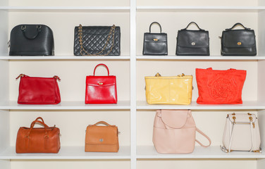 Set of stylish women's handbags - tote, shopper, hobo, bucket, satchel and pouch bags. Trendy...