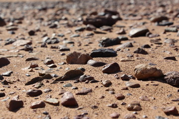 Sol du désert