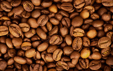 Raw coffee beans background image