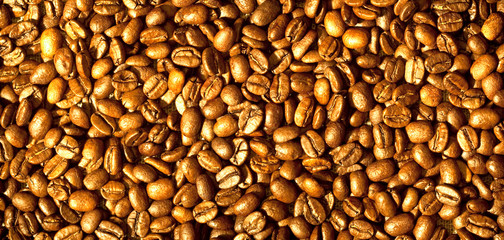 Raw coffee beans background image