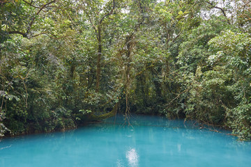 he Celeste River in Tenorio Volcano National Park, Costa Rica