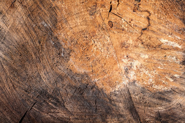 texture background aged wood close-up