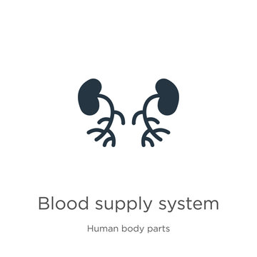 Blood supply system icon vector. Trendy flat blood supply system icon from human body parts collection isolated on white background. Vector illustration can be used for web and mobile graphic design,