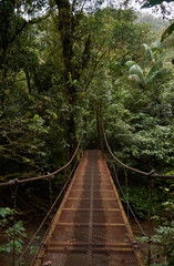 Iron bridge over the Celeste River in Tenorio Volcano National Park, Costa Rica