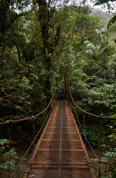 Iron bridge over the Celeste River in Tenorio Volcano National Park, Costa Rica © JaviJfotografo
