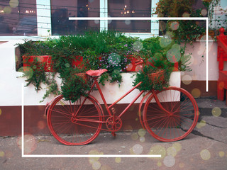 Fototapeta na wymiar Stylish elegant red bike with a basket of flowers in the Luggage basket at the front wheel of the bike standing against the concrete wall