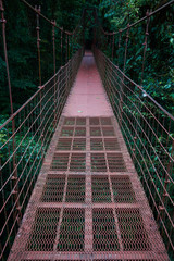 a suspension bridge in the Monteverde Cloud Forest Reserve, Costa Rica