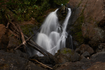 Fototapeta premium San Pedrillo Waterfall in Corcovado National Park, Costa Rica