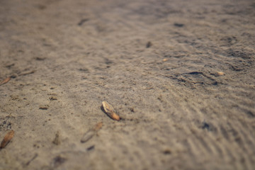 river