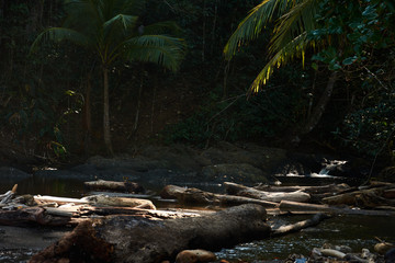 San Pedrillo River in Corcovado National Park, Costa Rica