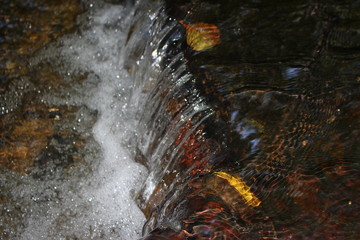 Small creek waterfall close up