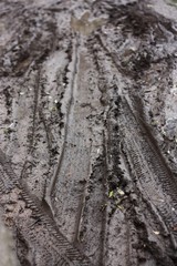 Track from a car wheel on the road