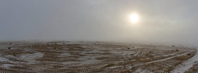 Tundra landscape with rover tracks on Hudson Bay