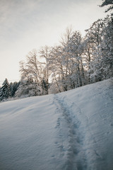 Obraz premium Winterzauber