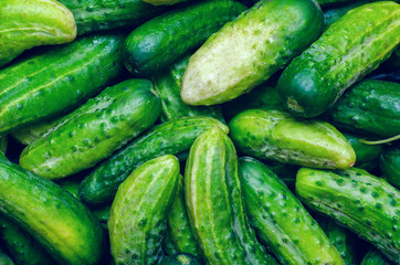 Fresh organic vegetables, green cucumbers, texture background