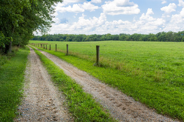 Fototapeta na wymiar Dirt country road along a farm fence on a summer day