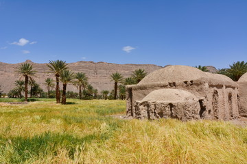 Iran clay village with grain field and palm trees