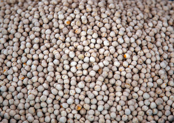 Peas chick pea background.