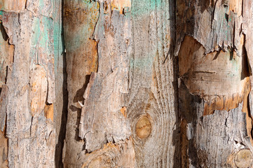The texture of the logs and bark.