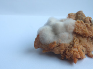 A piece of fired chicken is moldy and rotten with badly smell. That may cause food poisoning,...