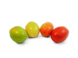 Green, yellow, orange and red whole tomatoes isolated on white background, side view.