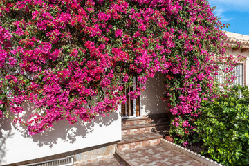 Entrance door decorated with bright flowers