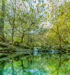 sunset in forest with reflection of trees on water, peace concept