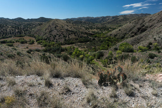 Gila River Valley View In New Mexico.