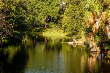 Much of the natural and man-made beauty you will see as you walk the trails of Sawgrass Lake Park.