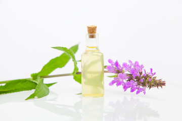 marsh woundwort essential oil in  beautiful bottle on White background