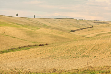 Obraz premium landscape of hills tuscany in autumn in Italy