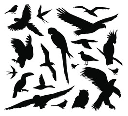 Fototapeta premium Vector set bundle of different black wild birds silhouette isolated on white background