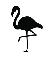Vector black flamingo silhouette isolated on white background