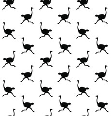 Vector seamless pattern of black ostrich silhouette isolated on white background