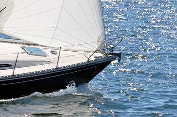 Fototapeta premium am Wind