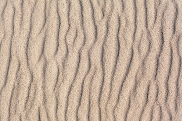 Natural Wavy Sand Texture / Rippled natural sand pattern detail at beach