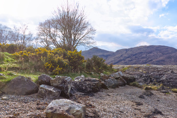 Fototapeta premium Landscape in the mountains Fort William Highlands