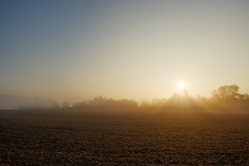 Silhouette scenery of agricultural and natural field in countryside area in morning with golden light from sunrise.