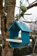 A snowy bird feeder in a garden during the winter with suet balls. The suet balls, for wild birds are perfect for the cold temperatures of winter.