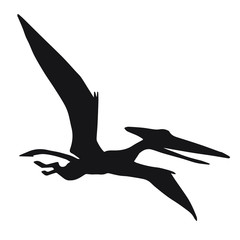 Vector black flying pterodactyl dinosaur silhouette isolated on white background © Sweta