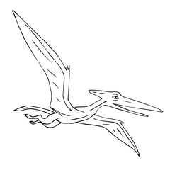 Vector black hand drawn outline sketch flying pterodactyl dinosaur isolated on white background © Sweta