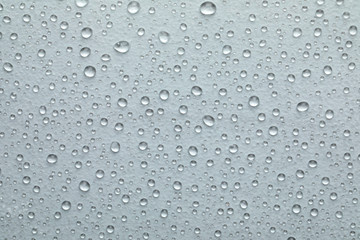 Water drops on white background, top view